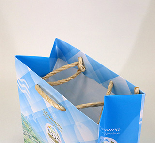 コート紙+グロスPP、オフセット印刷カラー４色のオリジナル別注紙袋