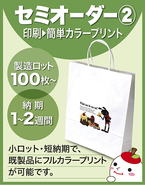 セミオーダー（簡単カラープリント）紙袋