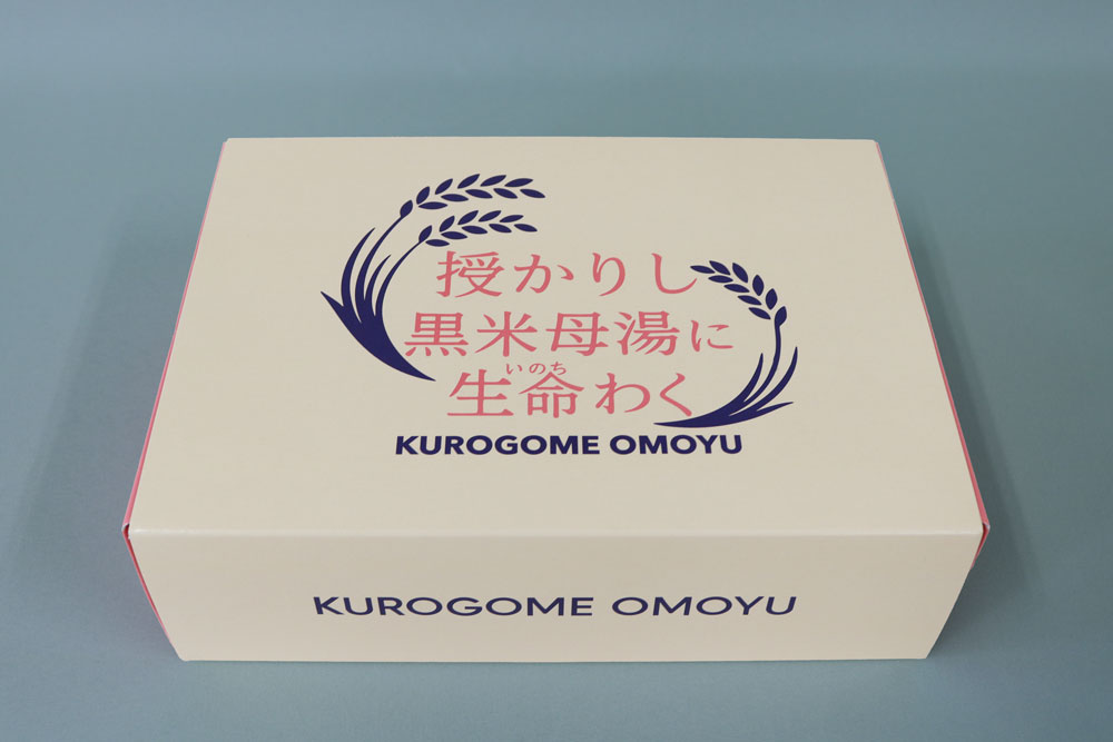 カードB オフセット印刷3色 組立て紙箱の正面画像