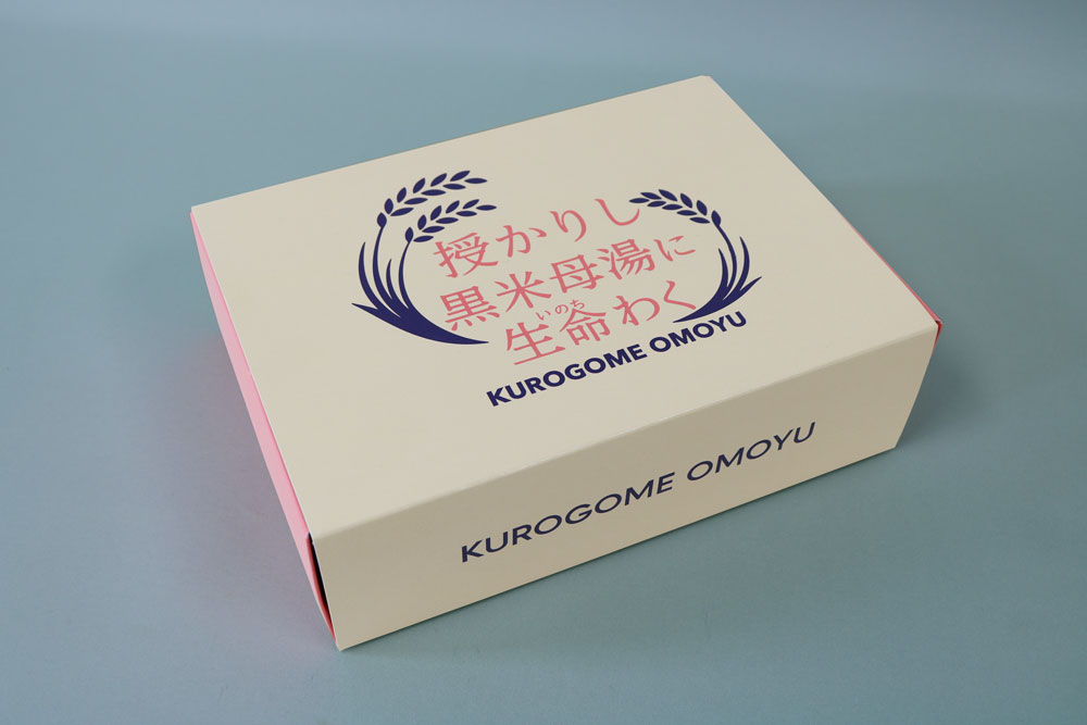 カードB　オフセット印刷３色　組立て紙箱