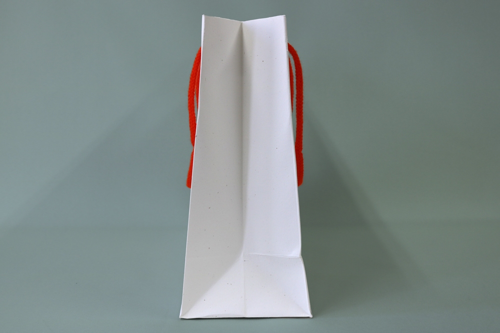 vegi-kamiにんじん､箔押し 片面１色のセミオーダー紙袋の側面画像