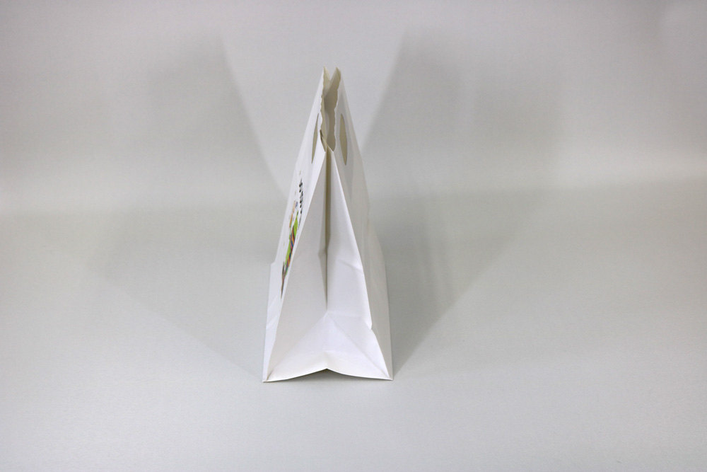 片艶クラフト､簡単カラープリント４色(CMYK)のセミオーダー紙袋の側面画像