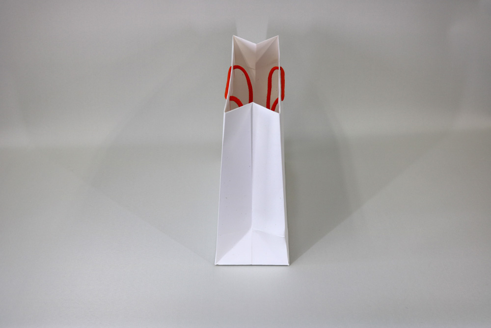 vegi-kamiにんじん､簡単カラープリント４色(CMYK)のセミオーダー紙袋の側面画像